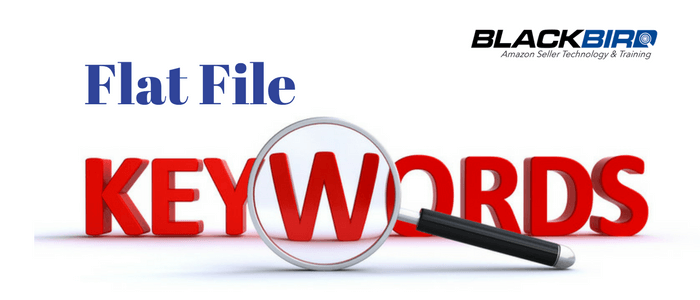 Using Flat Files to Add More Keywords To Your Amazon Listing